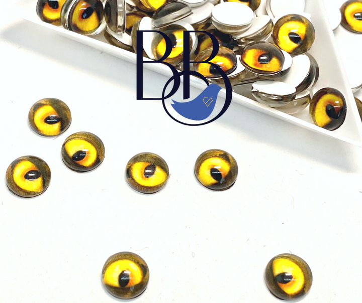 Flatback Eyes - Clyde