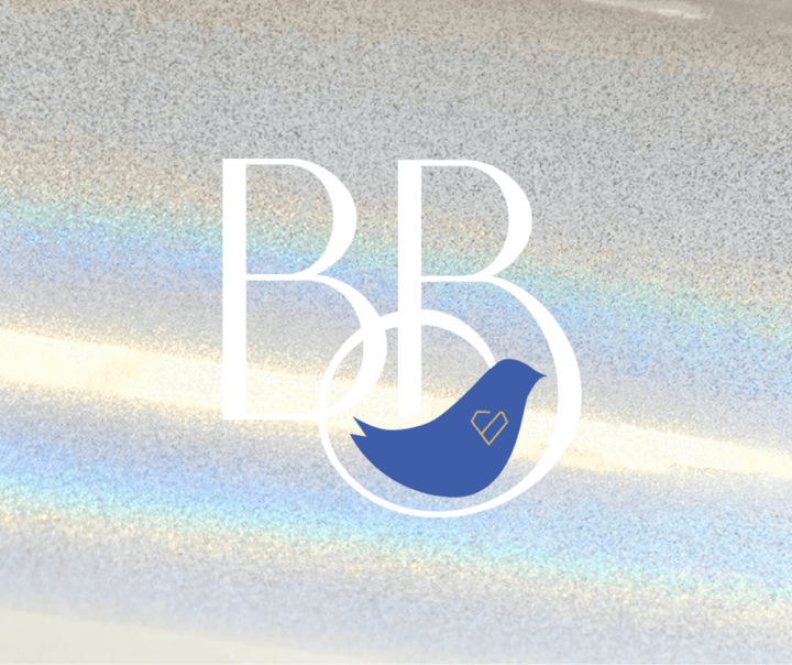 20oz Glitter Double Wall Skinny Stainless Steel Tumbler