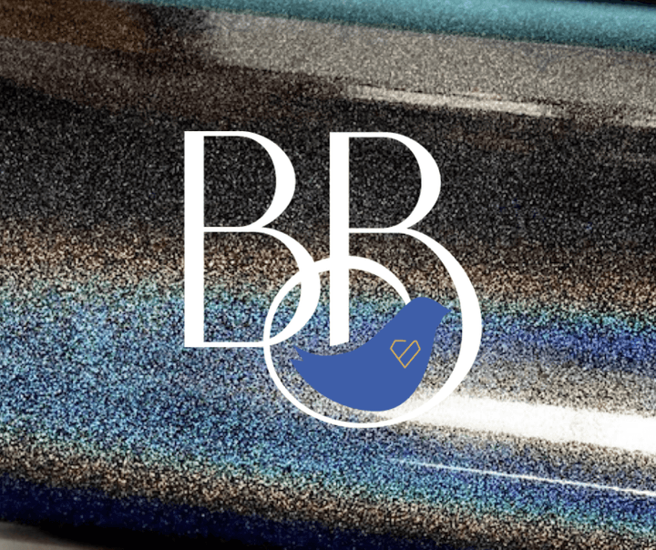 20oz Black Glitter Double Wall Skinny Stainless Steel Tumbler - The Blinging Bluebird
