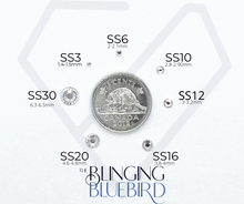 Load image into Gallery viewer, Premium Rhinestone Starter Kit
