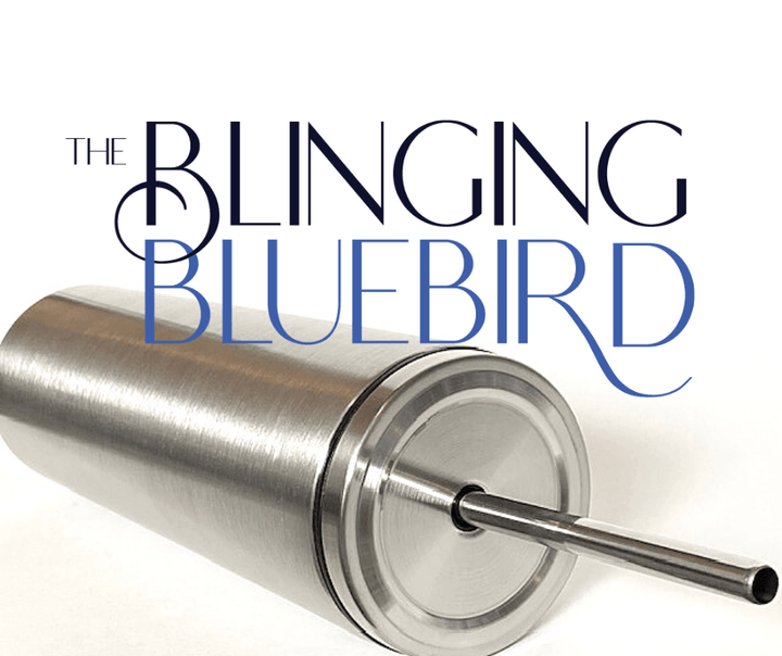 20oz Skinny Double Wall Stainless Steel Tumbler With Screw Lid And Metal Straw - The Blinging Bluebird